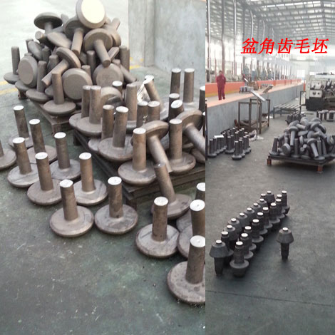 盆(pén)角齒毛坯